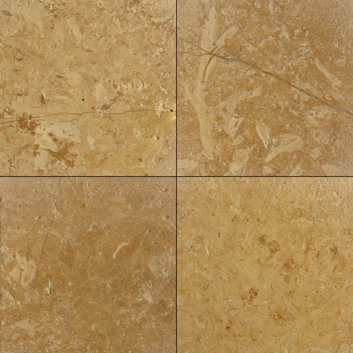 Jodhpur Gold Sandstone